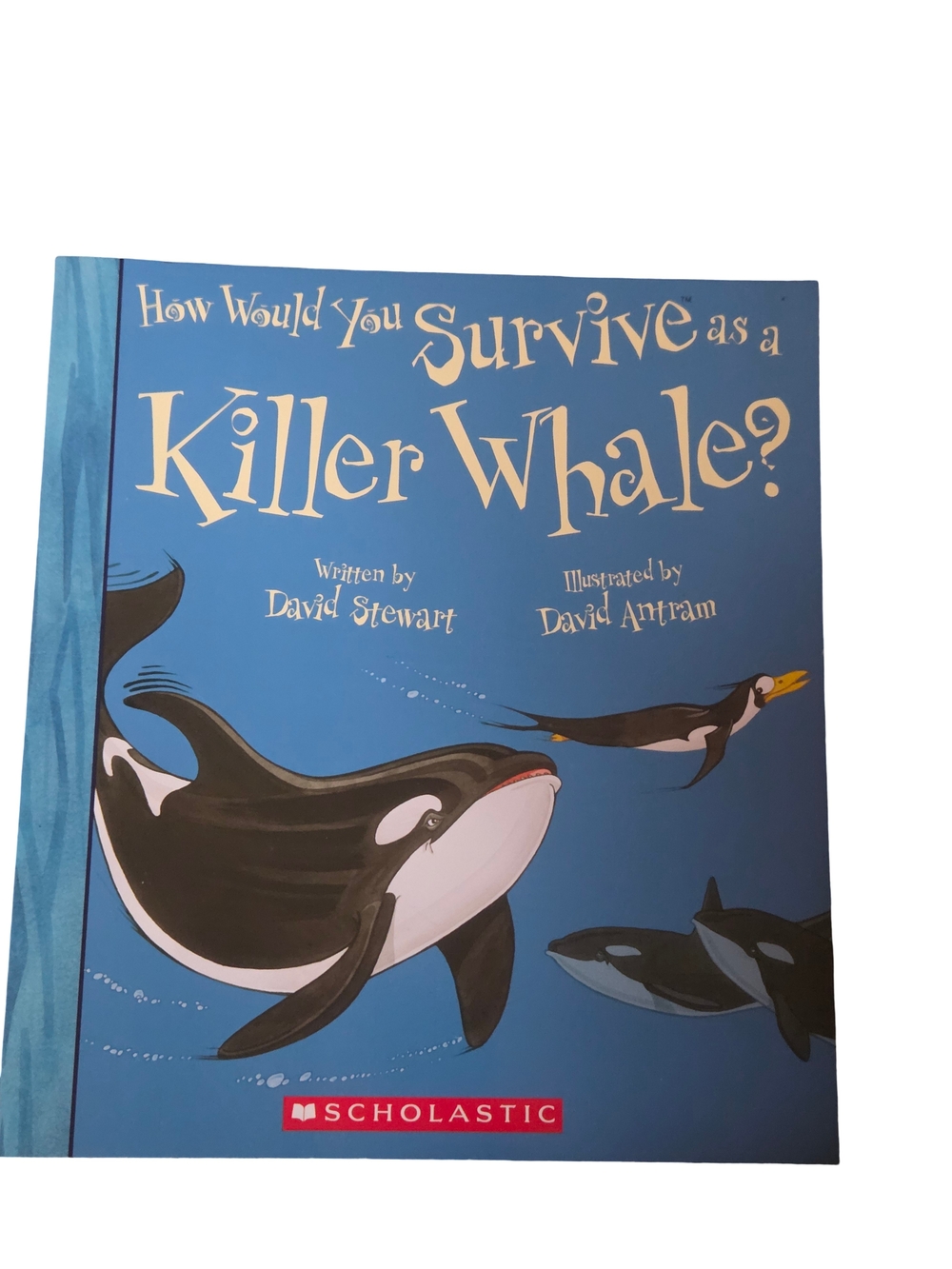 Scholastic Blue Kids Swim Cover with Killer Whale Illustration